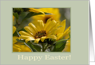 Yellow Flowers for Easter card