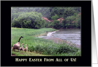 Happy Easter From All of Us!, Goose Family at the River card