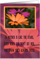 Gerber Daisies, From Son, A mother is like the stars card
