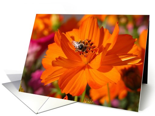 Marigold with Bee,  September Birth Flower card (460276)