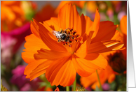 Marigold with Bee, September Birth Flower card