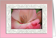 Pink Gladiola, August Birth Flower card