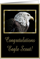 Eagle Profile, Black and Gold Frame, Congratulations Eagle Scout! card
