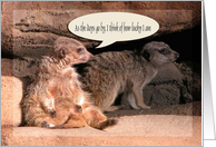 Meerkats /As the Days go by / Thinking of you / Humor card