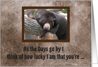 Black Bear, As the Days go by, Thinking of you, Humor card