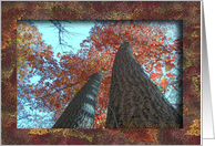 Tall Trees / At this Thanksgiving / In Remembrance card