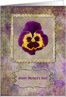 Mother’s Day, Pansey, Mother in Law card