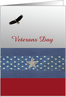 Eagle Flying on Silver Background & Big Silver Star, Veterans Day card