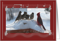 Christmas Caroling Party, Cardinal Singing with the Sparrows card