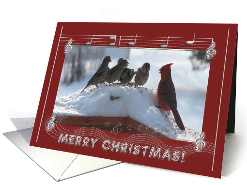 New Address, Merry Christmas, Cardinal Singing with the Sparrows card