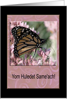 Happy Birthday in Hebrew, Beautiful Butterfly card