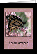 S dniom razhdjenia, Happy Birthday in Russian, Beautiful Butterfly card