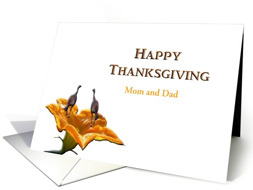 Mom and Dad, Thanksgiving, Two Turkeys on Pumpkin Flower card (882798)