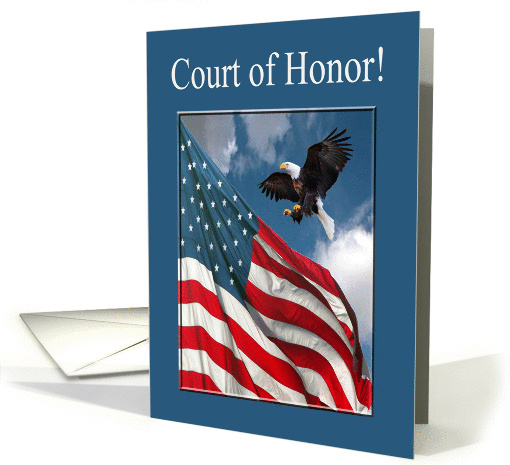 Court of Honor, Eagle Landing with Flag, Eagle Scout Award... (915850)