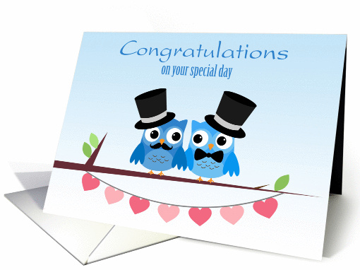 Blue Owls, Pink Hearts, Gay Men Wedding Congratulations card (1162288)