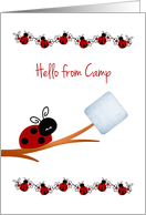 Ladybug, Daisies, Marshmallow Note from Camp card