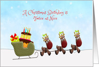 Reindeer and Sled, Christmas Birthday card