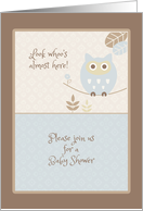 Pink Owl, Baby Shower Invitation for Boy card