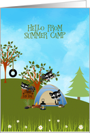 Hello from Camp with Racoons card
