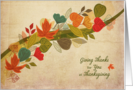 Autumn Leaves for Thanksgiving card