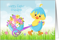 Grandson Easter Yellow Chick with Flowers card