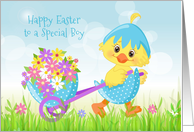 Special Boy Easter Yellow Chick with Flowers card