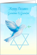 Grandma & Grandpa Passover Dove Star of David card