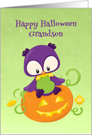 Halloween Owl and Pumpkin for Grandson card