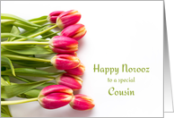 Cousin Happy Norooz with Pink Tulips card