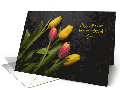 For Son Happy Norooz with Pink and Yellow Tulips on Dark... (1515424)