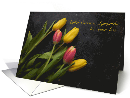 Sympathy with Pink and Yellow Tulips on Dark Background card (1515428)