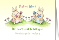 Baby Gender Reveal with Baby Bunnies card