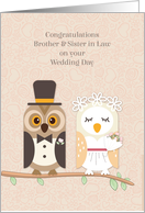 Brother & Sister in Law Congratulations Wedding Day Owl Bride & Groom card