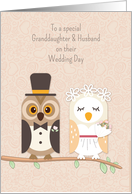 Granddaughter & Husband Congratulations Wedding Day Owl Bride & Groom card