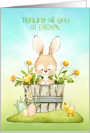 Thinking of You at Easter Bunny, Chicks and Daisies card