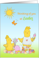 Easter Yellow Chicks Thinking of You card