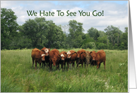 Goodbye from Group with Cows card
