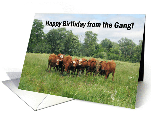 Birthday From Group card (178549)