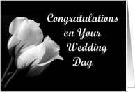 Wedding Congratulations card