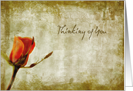 Vintage Orange Rose Thinking of You card