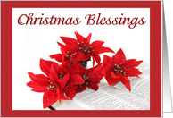 Poinsettias and Bible card