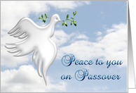 Peace Dove Passover card