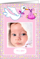 Stork, Daisies, Pink Baby Bundle Photo Card