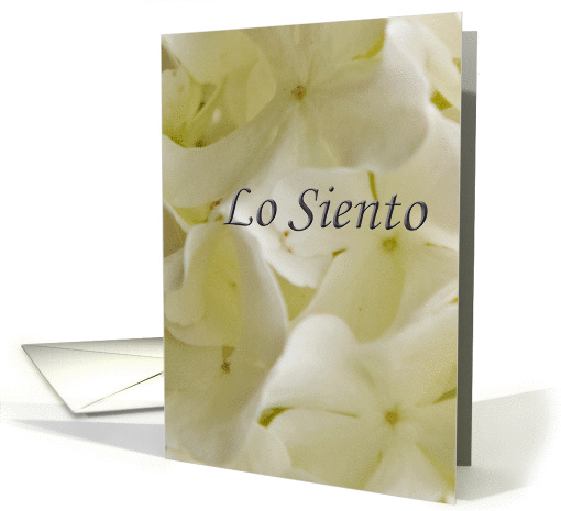 Lo Siento card (192678)