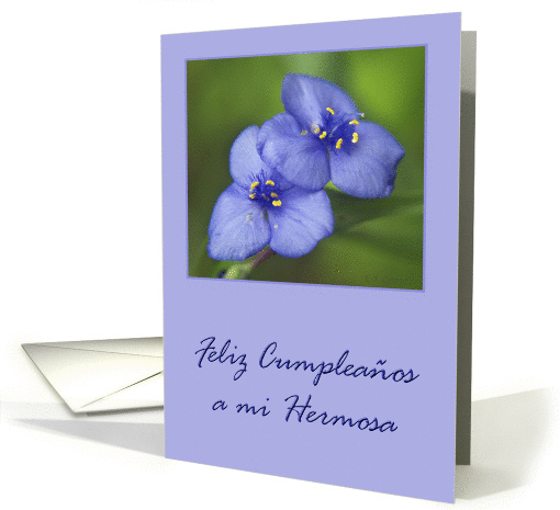 Feliz cumpleaos a mi hermosa card (201650)