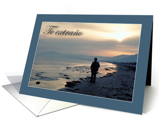 Te extrao card (253973)