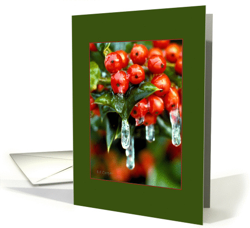 Frozen Holly Berries card (261160)