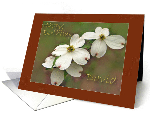 Happy Birthday David card (267444)