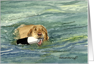 Golden Retriever Fetching card