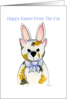 Happy Easter From the Cat Card